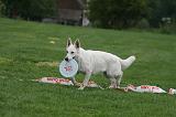 FRISBEE 025